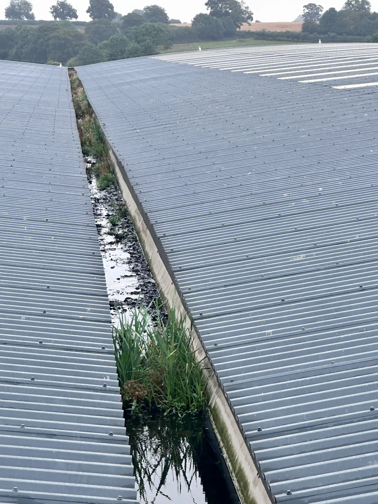 Commercial Gutter Cleaning by DMC Facilities Management