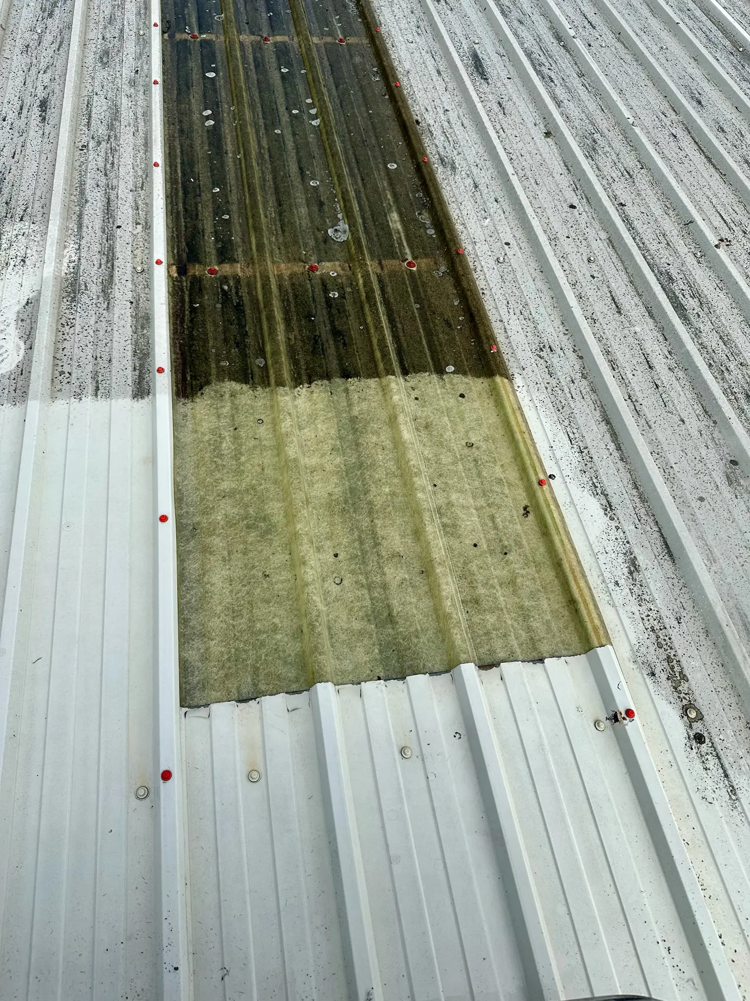 Commercial Roof Cleaning by DMC Facilities Management