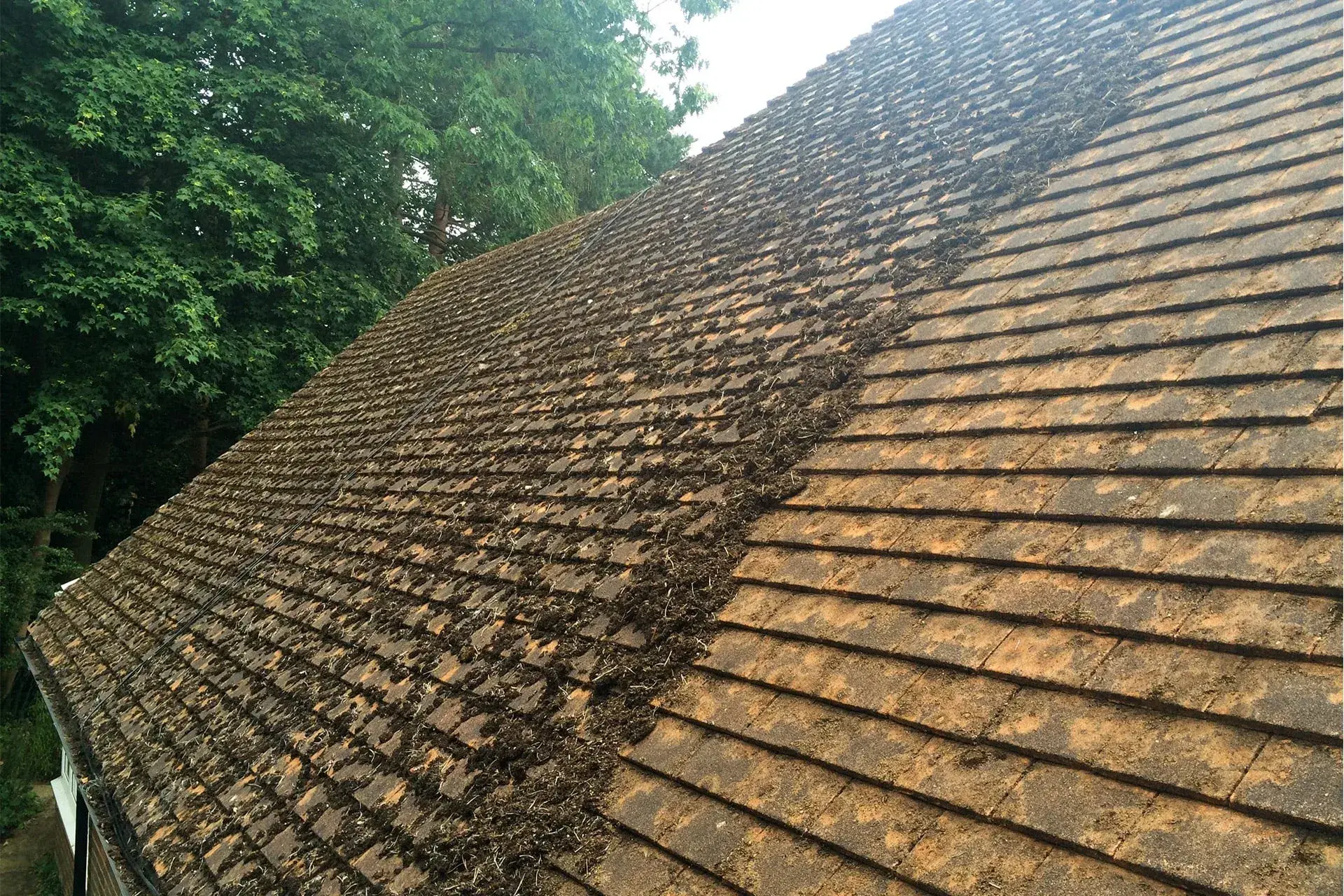 Roof Cleaning by DMC Facilities Management