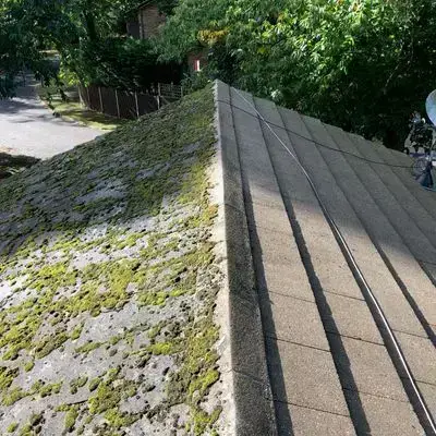 Residential Gutter Cleaning
